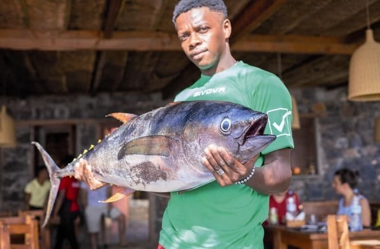 Cuidados a ter na compra de pescados frescos